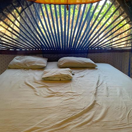 El Zopilote Hostel Balgue ภายนอก รูปภาพ