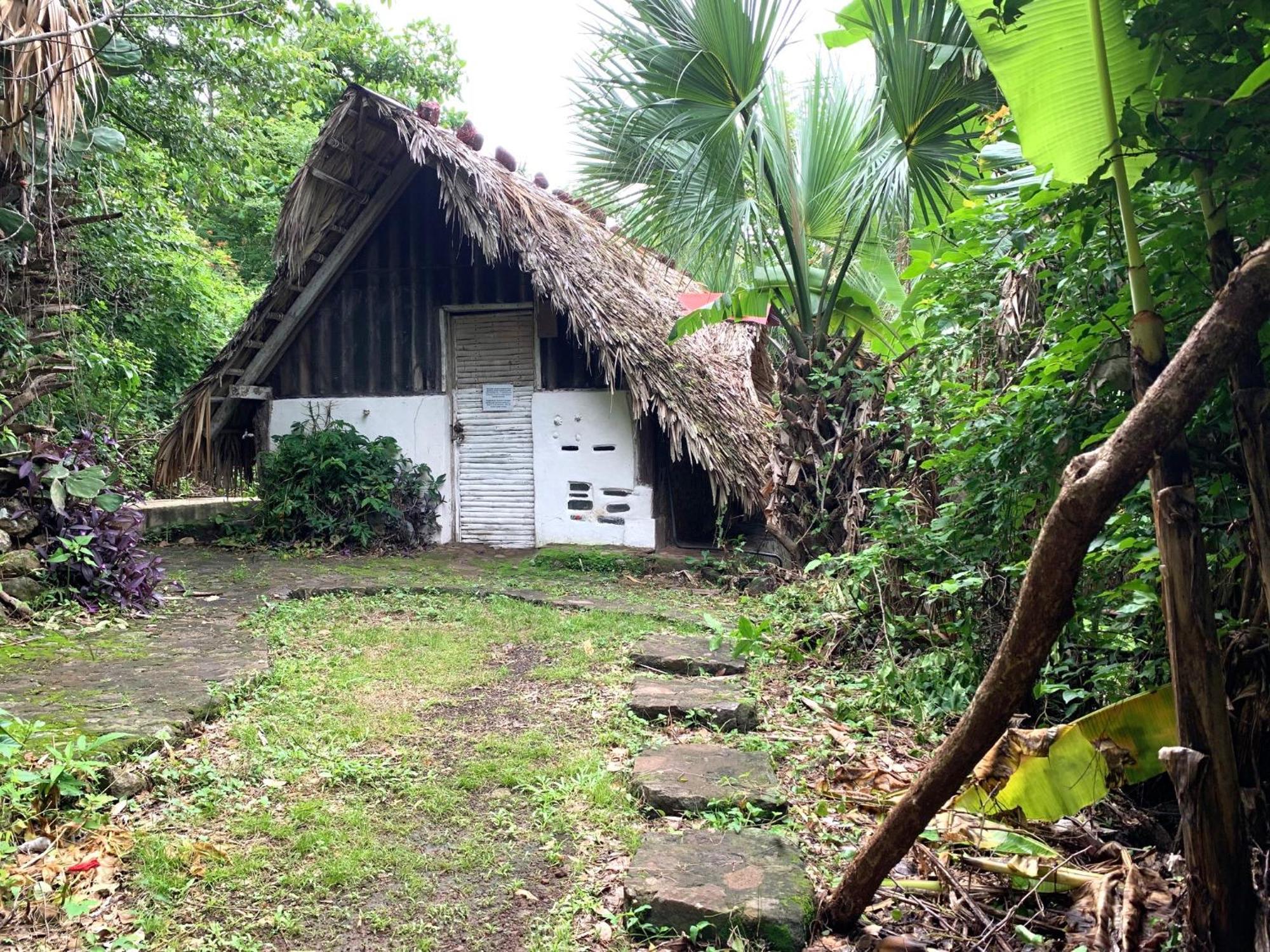 El Zopilote Hostel Balgue ภายนอก รูปภาพ