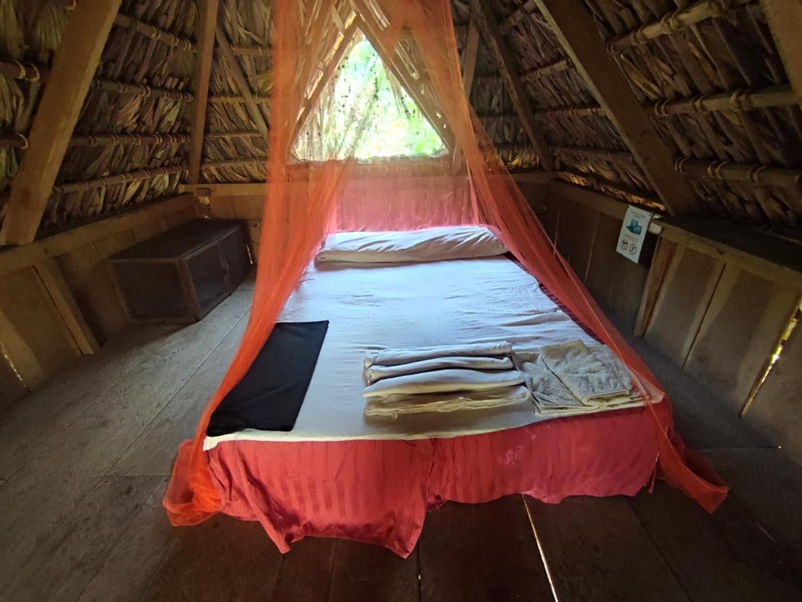 El Zopilote Hostel Balgue ภายนอก รูปภาพ