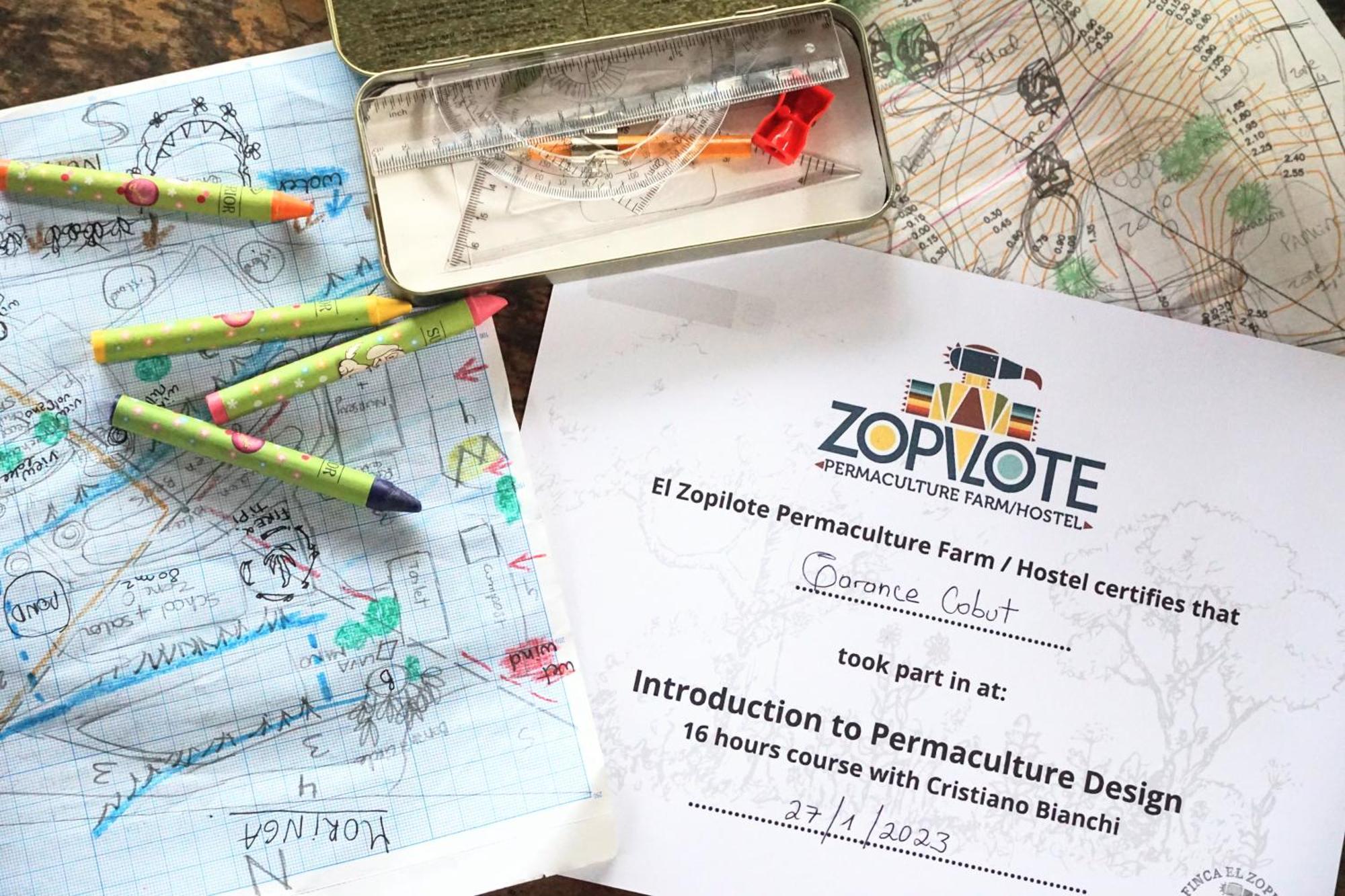 El Zopilote Hostel Balgue ภายนอก รูปภาพ