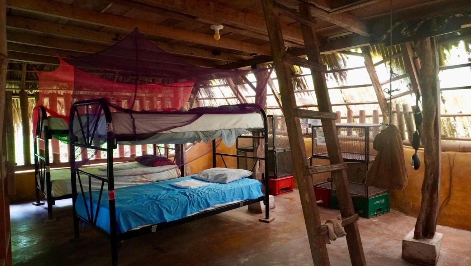 El Zopilote Hostel Balgue ห้อง รูปภาพ