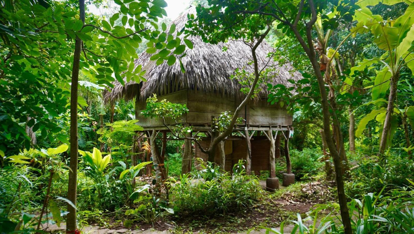El Zopilote Hostel Balgue ห้อง รูปภาพ