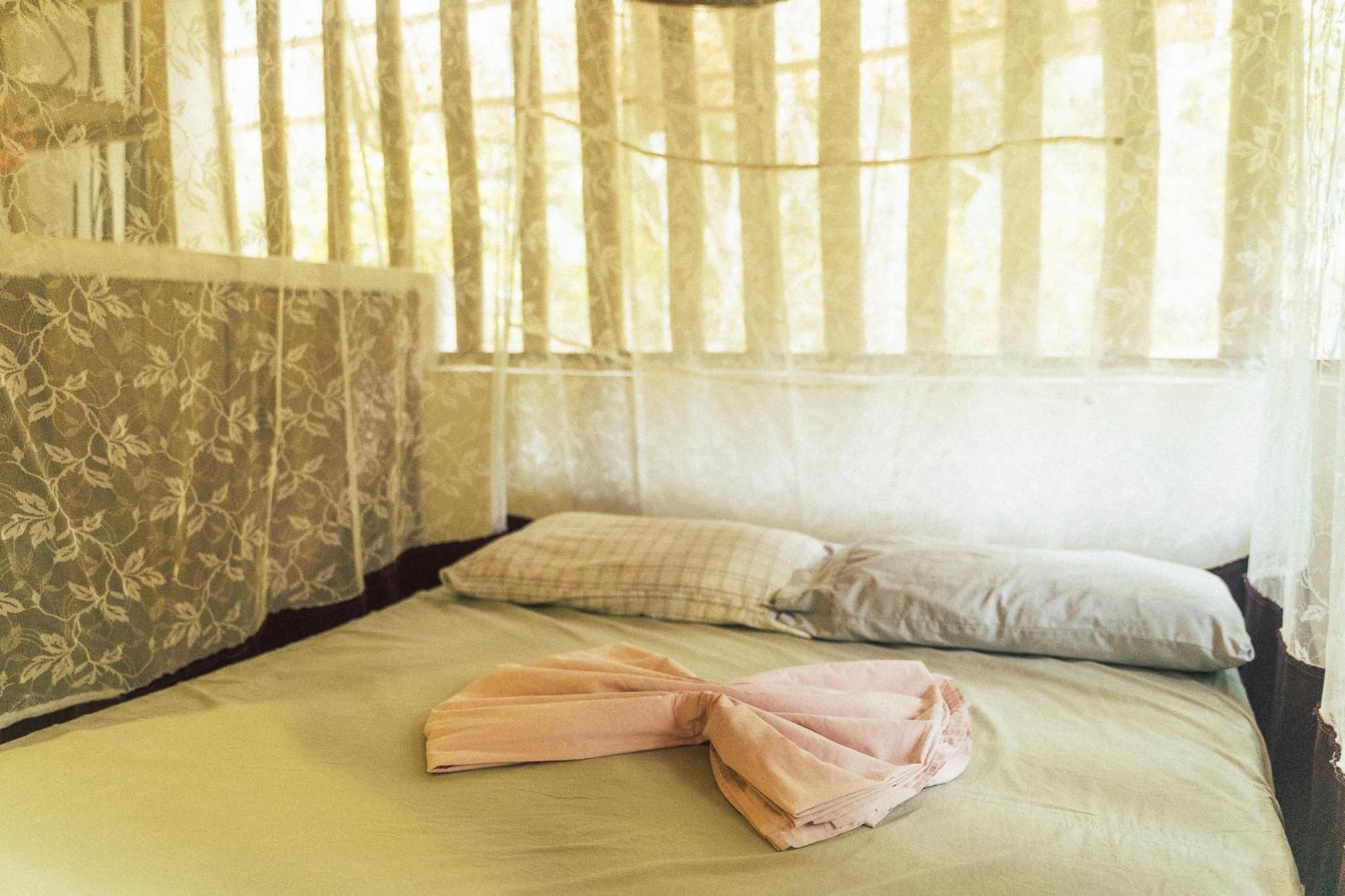 El Zopilote Hostel Balgue ห้อง รูปภาพ