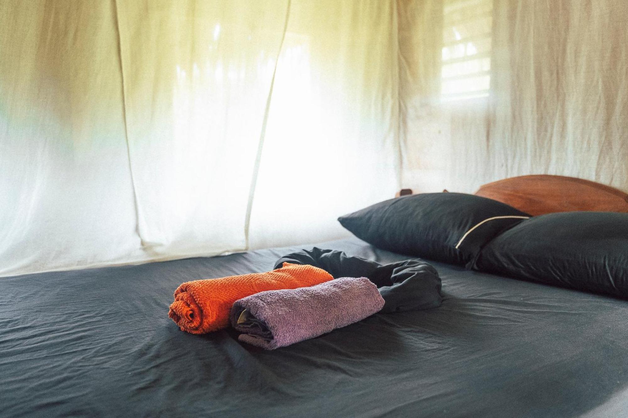 El Zopilote Hostel Balgue ห้อง รูปภาพ