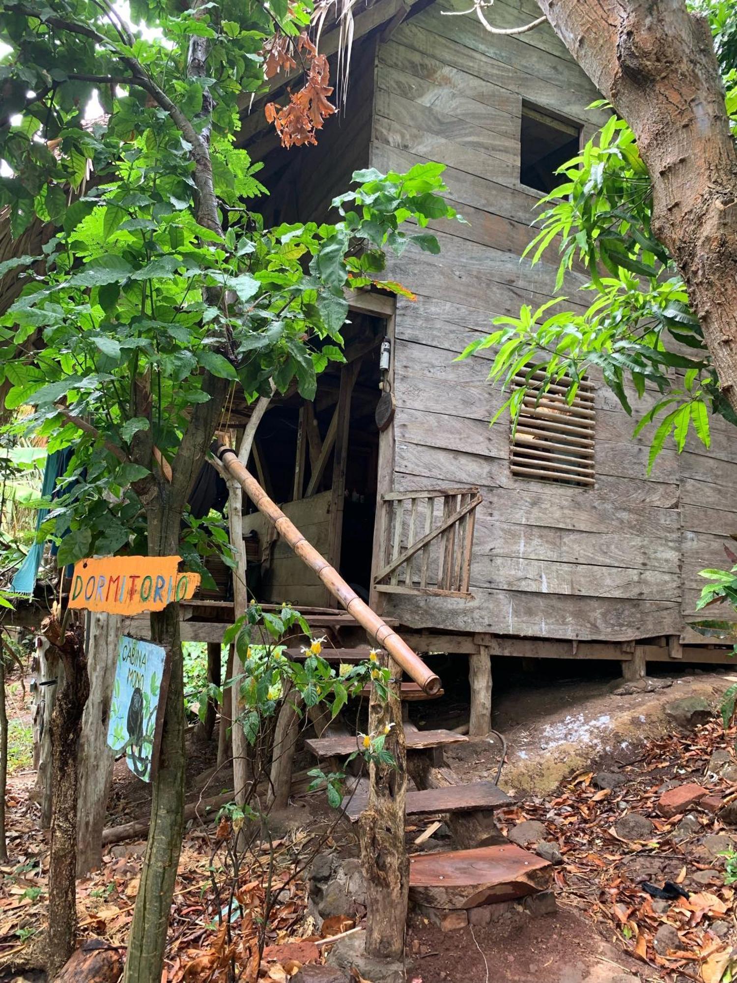 El Zopilote Hostel Balgue ห้อง รูปภาพ
