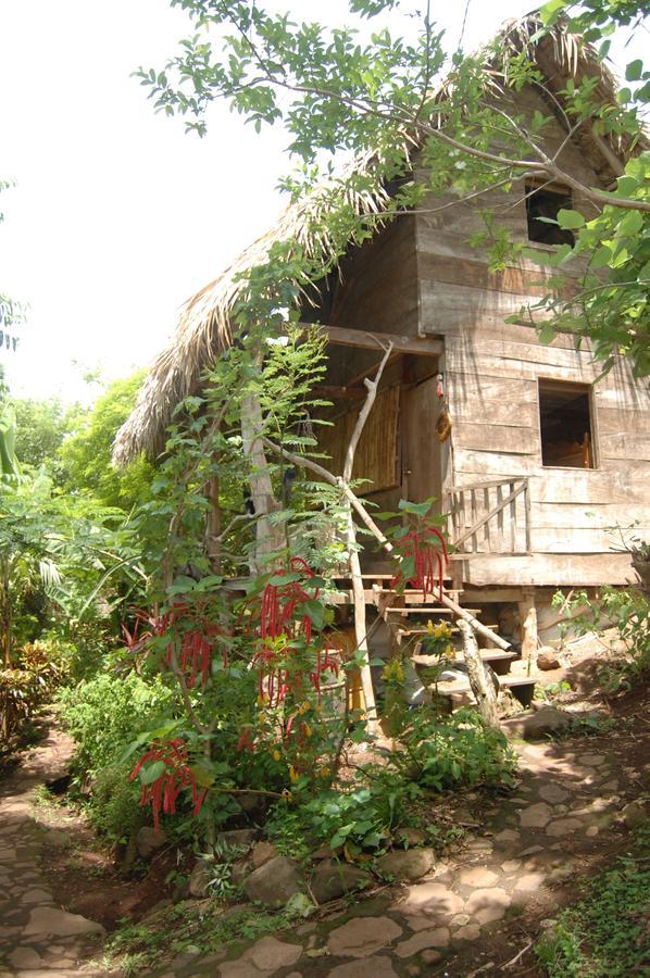 El Zopilote Hostel Balgue ภายนอก รูปภาพ