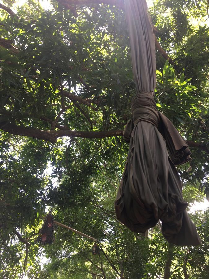 El Zopilote Hostel Balgue ภายนอก รูปภาพ