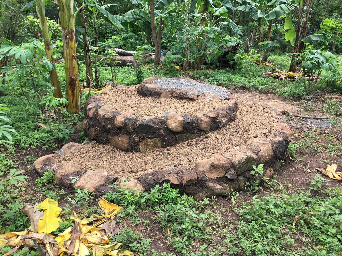 El Zopilote Hostel Balgue ภายนอก รูปภาพ