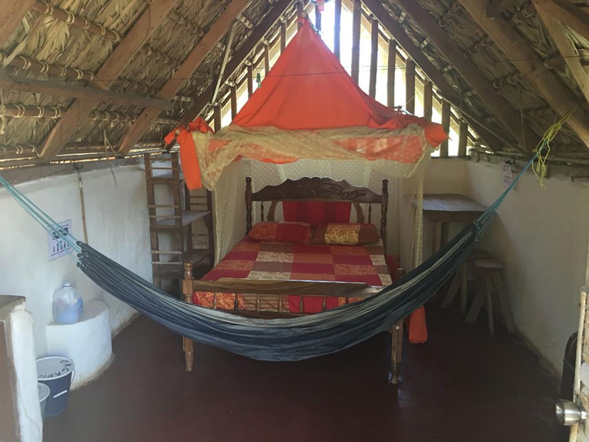El Zopilote Hostel Balgue ภายนอก รูปภาพ